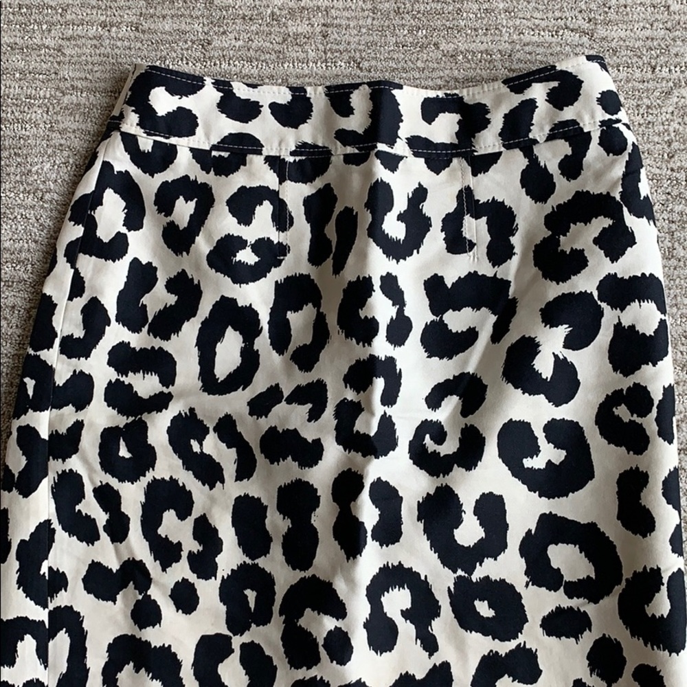 Ann Taylor Skirt - Picture 3 of 5